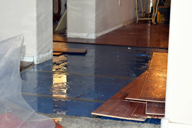 Professional Water Damage Restoration technician working in Stem, NC